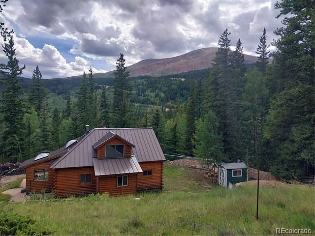 420 Nuthatch Dr, Alma, CO 80420