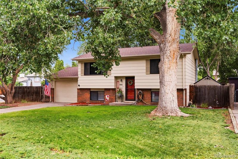 541 Sycamore Dr, Windsor, CO 80550