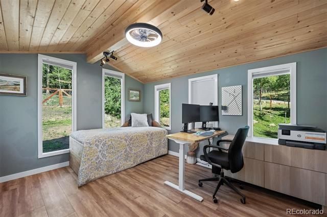 12022 Alvin Pl, Conifer, CO 80433