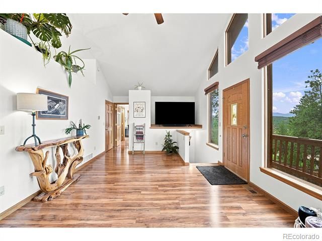 313 Deer Trail Dr, Bailey, CO 80421