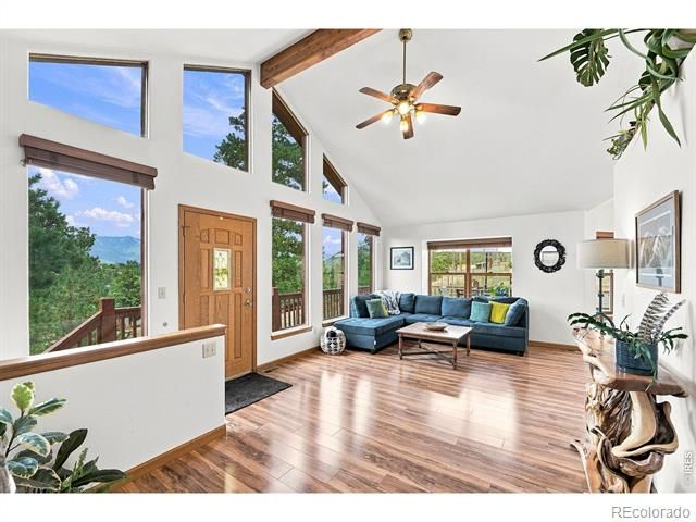 313 Deer Trail Dr, Bailey, CO 80421