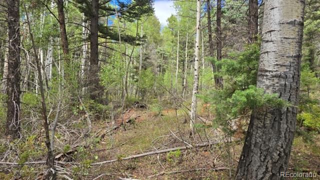 Lot 6269 Shioshita Rd Lot 6269, San Luis, CO 81152