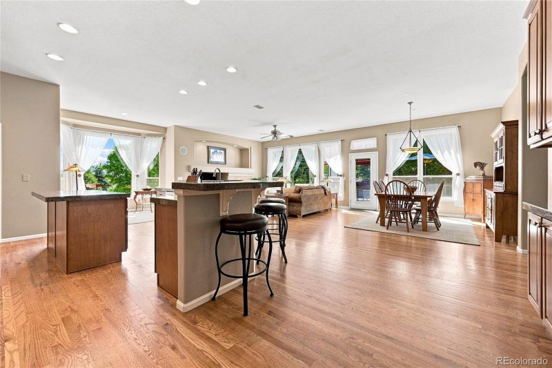 7542 Pyrite Way, Castle Rock, CO 80108