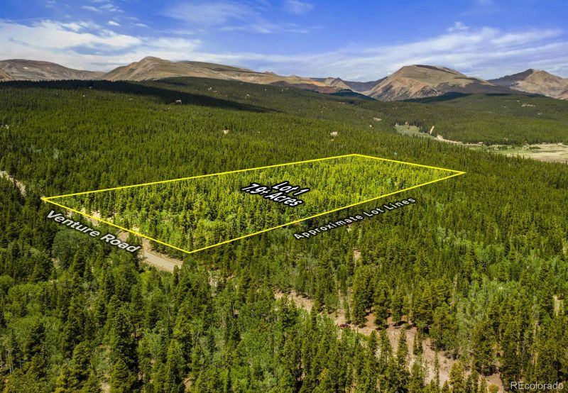 Lot 1 Venture Rd Lot 1, Fairplay, CO 80440