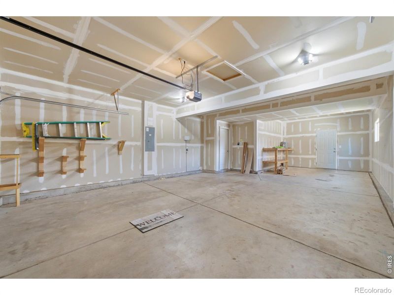 354 Shadowbrook Dr, Windsor, CO 80550