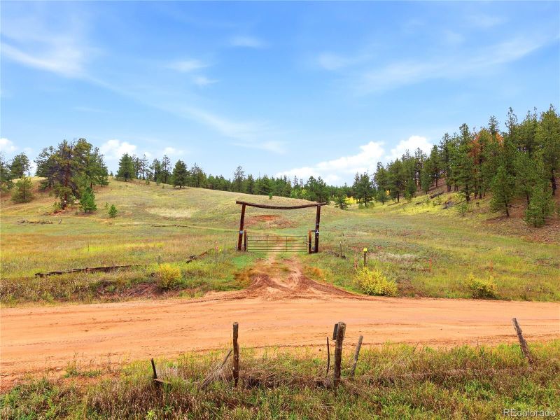 8567 Cr 3, Divide, CO 80814