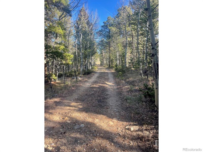 399 N Skinner Rd, Allenspark, CO 80510