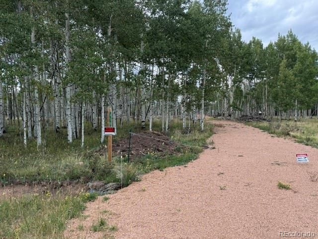 455 Aspen Way Dr, Florissant, CO 80816