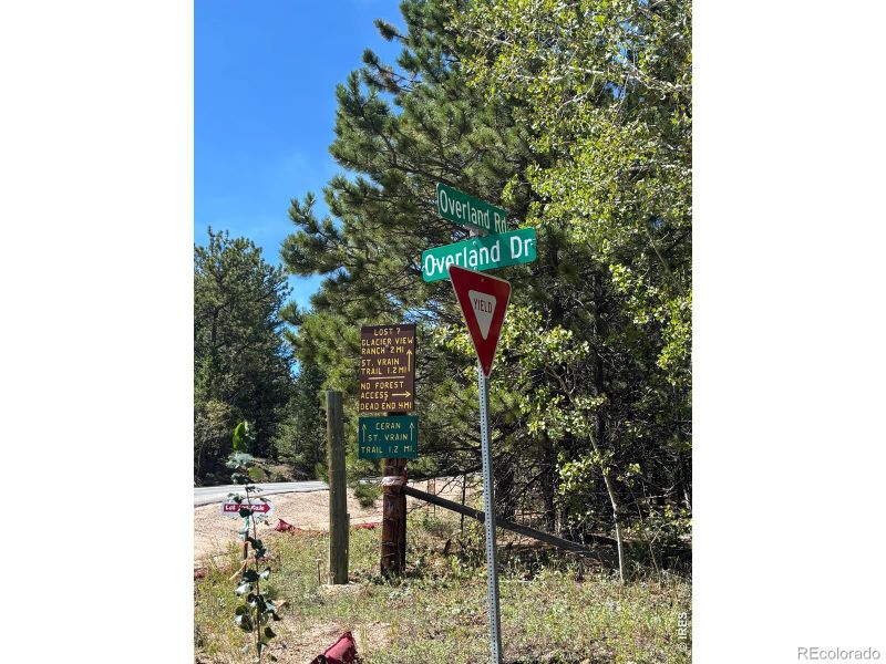 75 Overland Dr, Ward, CO 80481