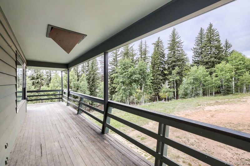 11662 S Juniper Rd, Pine, CO 80470