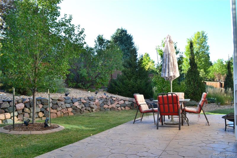 6965 Sapphire Pointe Blvd, Castle Rock, CO 80108