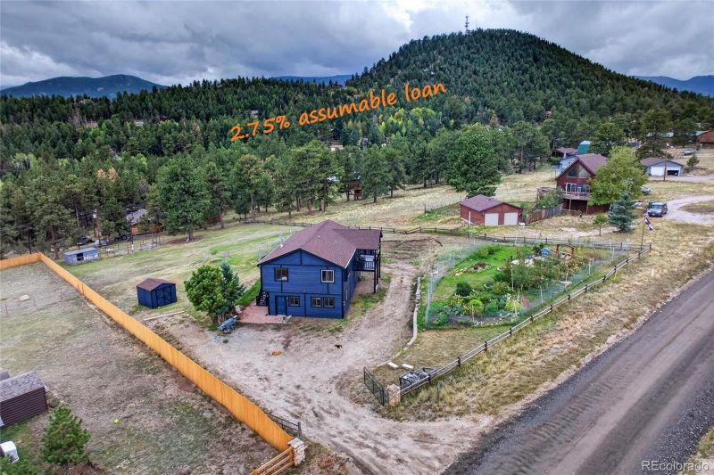 196 Conifer Dr, Bailey, CO 80421