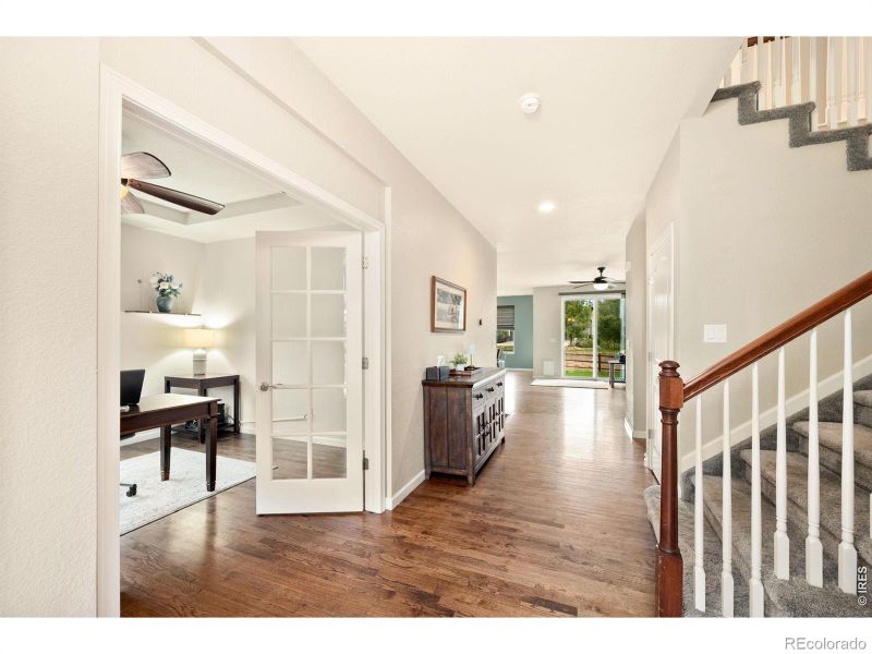 6101 Chesney Ct, Windsor, CO 80550