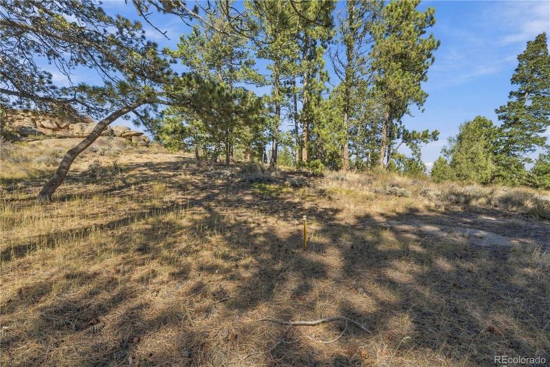 540 Fox Acres Dr Lot 8, Red Feather Lakes, CO 80545