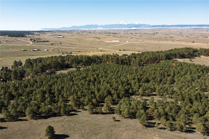 9040 Walker Rd, Colorado Springs, CO 80908