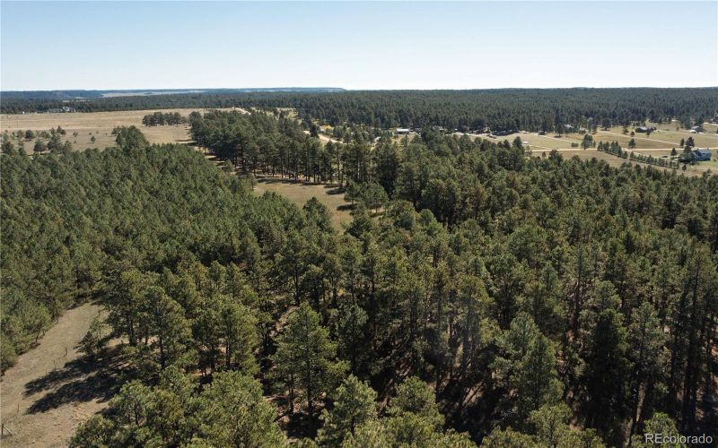 9040 Walker Rd, Colorado Springs, CO 80908