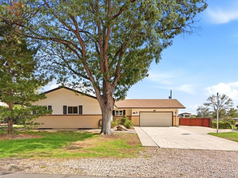 5340 Gladiola St, Arvada, CO 80002