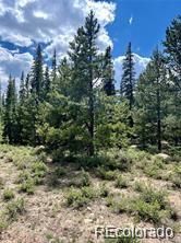 76 Ute Way Lot 336, Fairplay, CO 80440