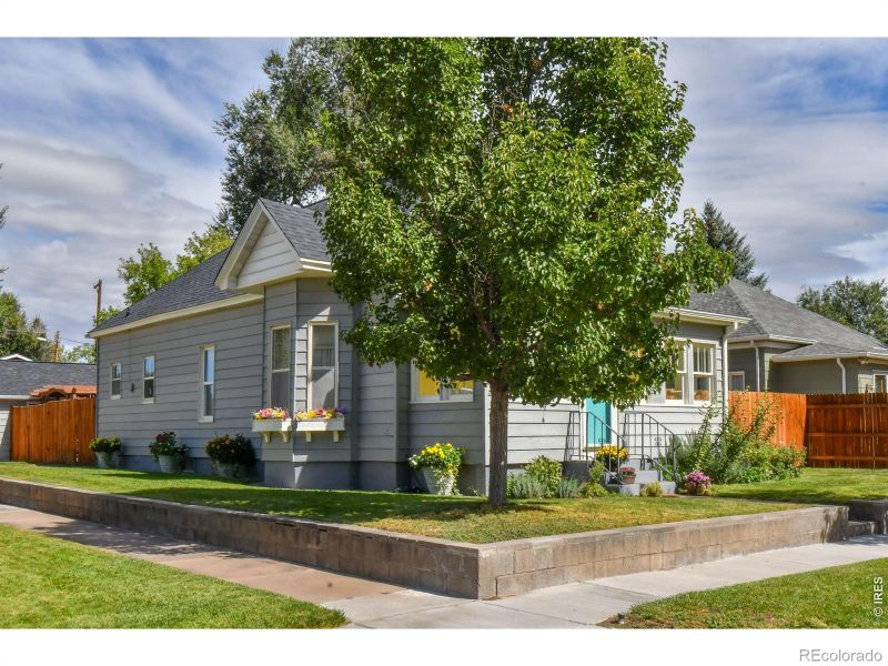230 Elm St, Windsor, CO 80550