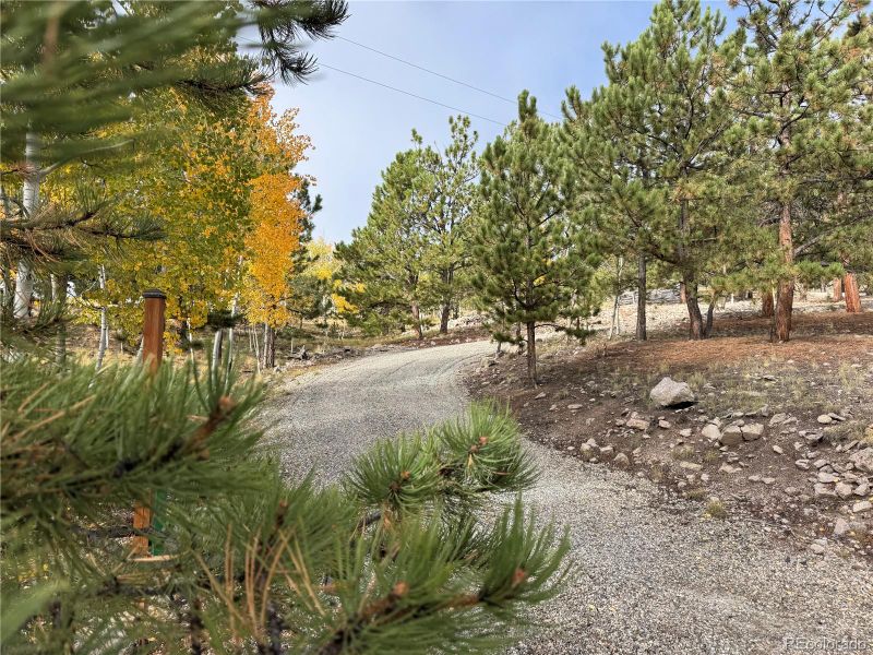 171 Whip Way, Hartsel, CO 80449
