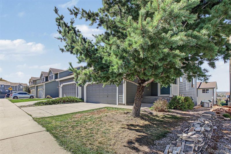 1461 Live Oak Rd, Castle Rock, CO 80104