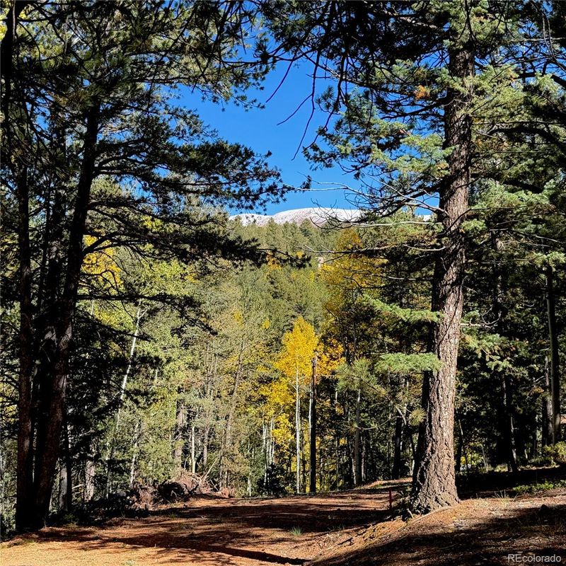 800 Timber Ridge Rd, Divide, CO 80814