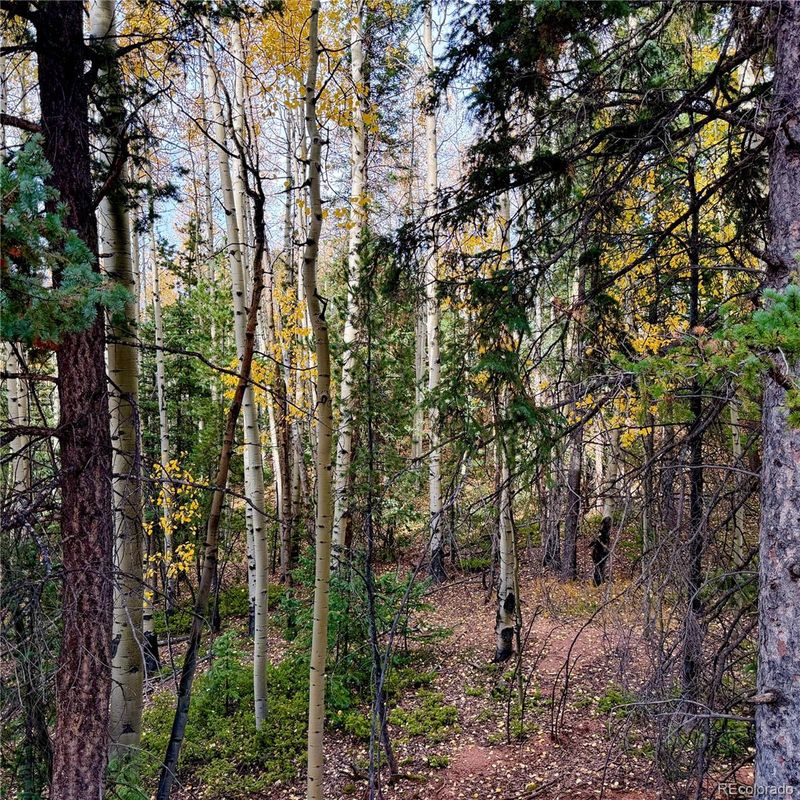 1341 Calcite Dr, Divide, CO 80814