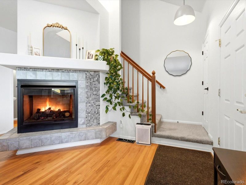 6255 Terry St, Golden, CO 80403