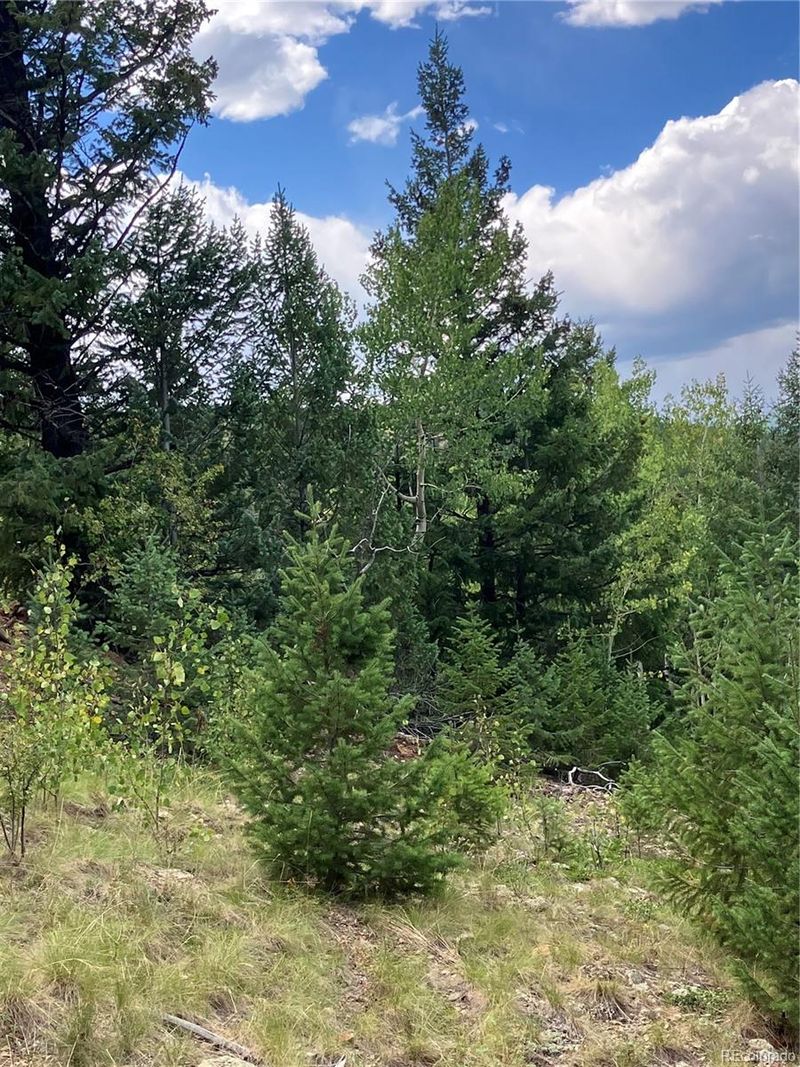 301 Miners Rd, Black Hawk, CO 80422