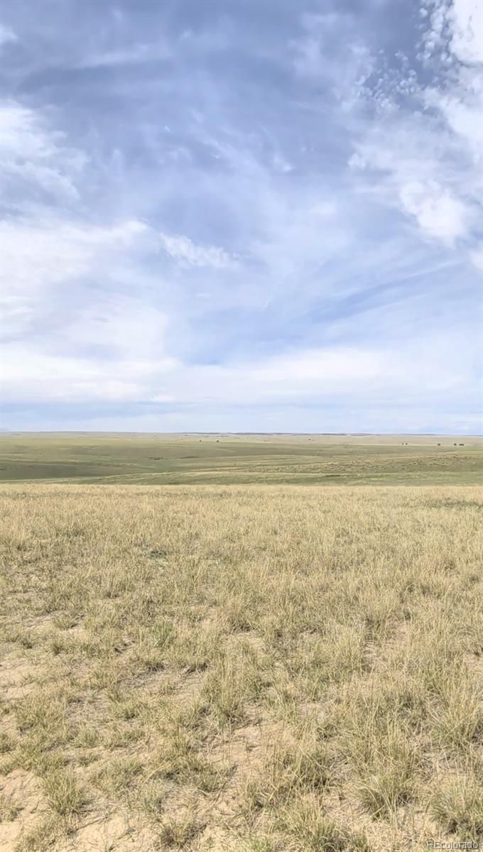 34000 County Road 160, Agate, CO 80101