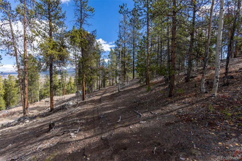 86 Mt Elbert Rd, Twin Lakes, CO 81251