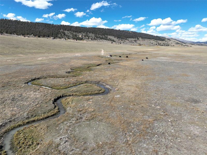 00 County Road 7, Fairplay, CO 80440