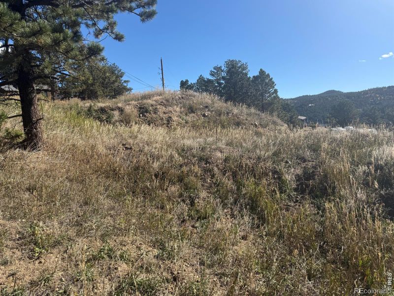 305 Boulder Canyon Dr, Nederland, CO 80466