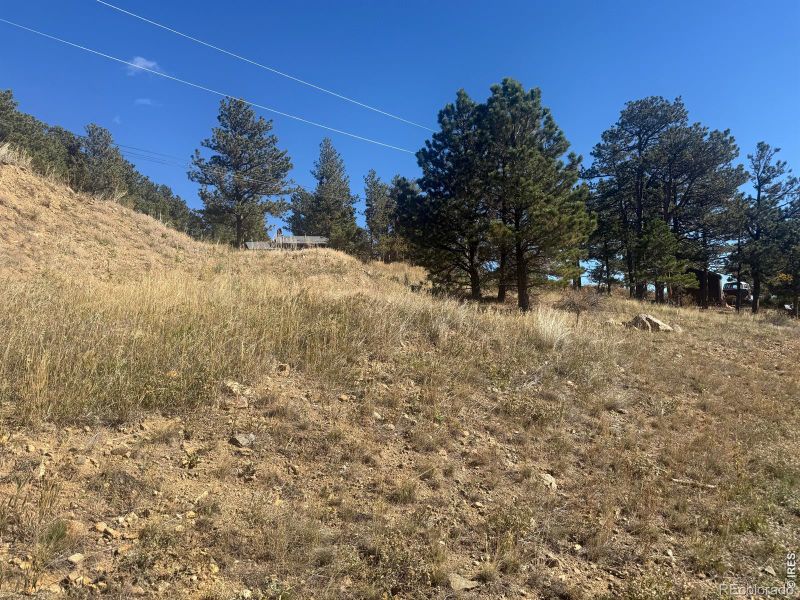 305 Boulder Canyon Dr, Nederland, CO 80466