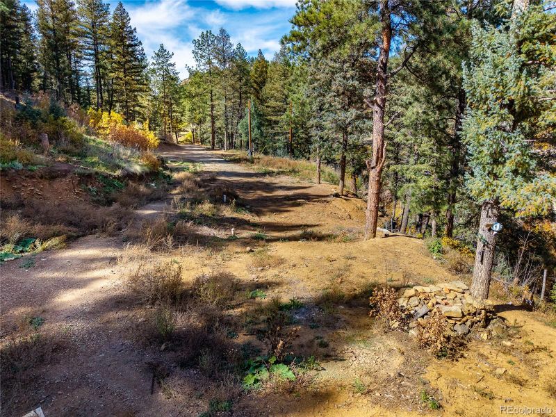 14990 Timber Ridge Rd, Weston, CO 81091