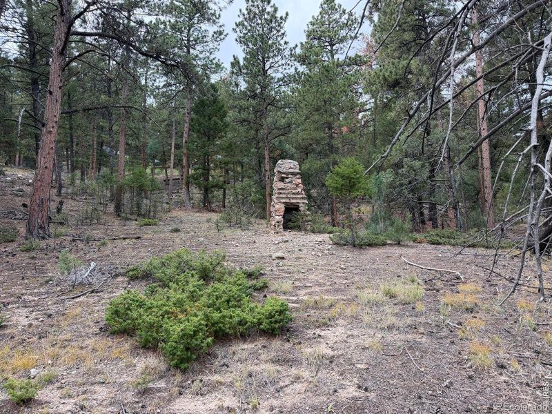 0 Toboggan Rd, Pine, CO 80470