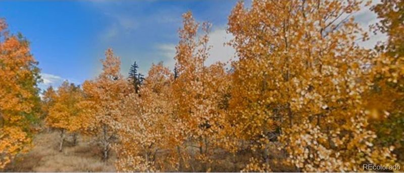 75 Antler Ridge Rd Lot 81, Como, CO 80456