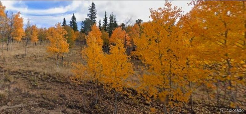 75 Antler Ridge Rd Lot 81, Como, CO 80456