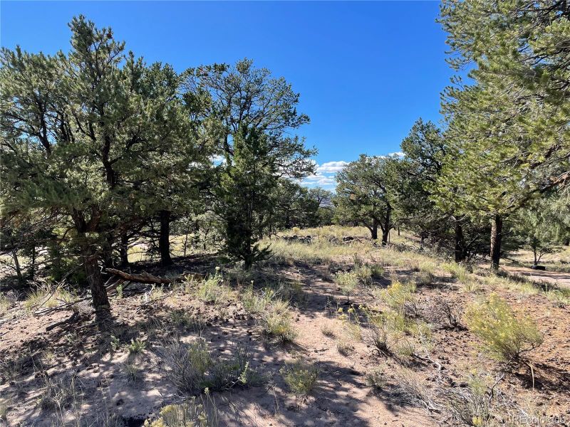 732 Rendezvous Way, Crestone, CO 81131