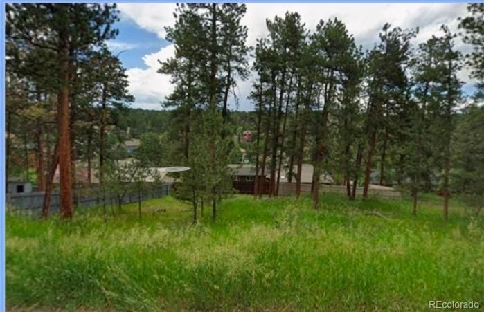 Spruce Rd Lot 0004, Evergreen, CO 80439