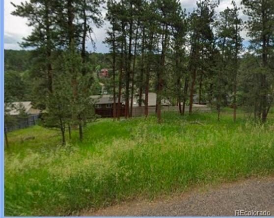 Spruce Rd Lot 0004, Evergreen, CO 80439