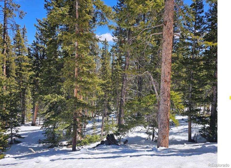 318 El Lobo Ln, Fairplay, CO 80440