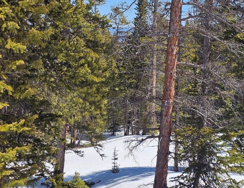 318 El Lobo Ln, Fairplay, CO 80440