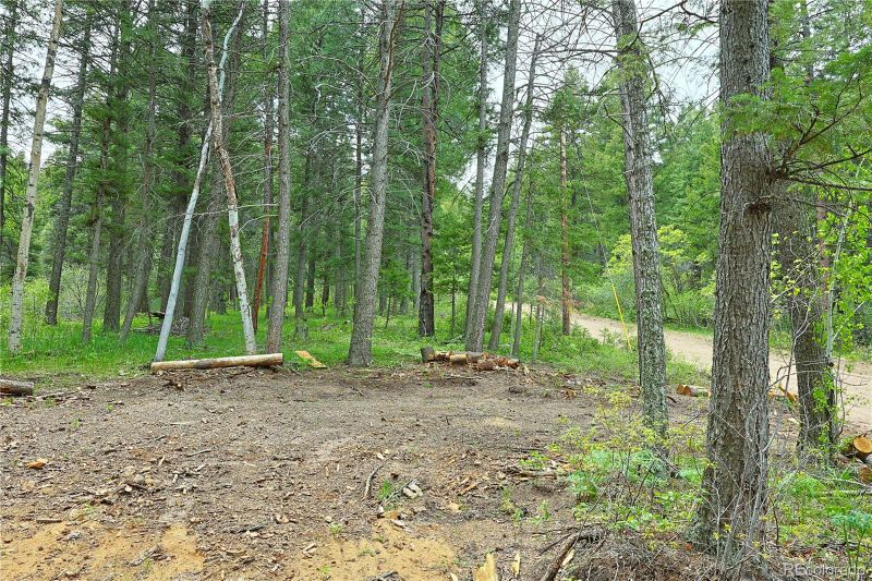 13114 Grey Hackle Dr, Larkspur, CO 80118