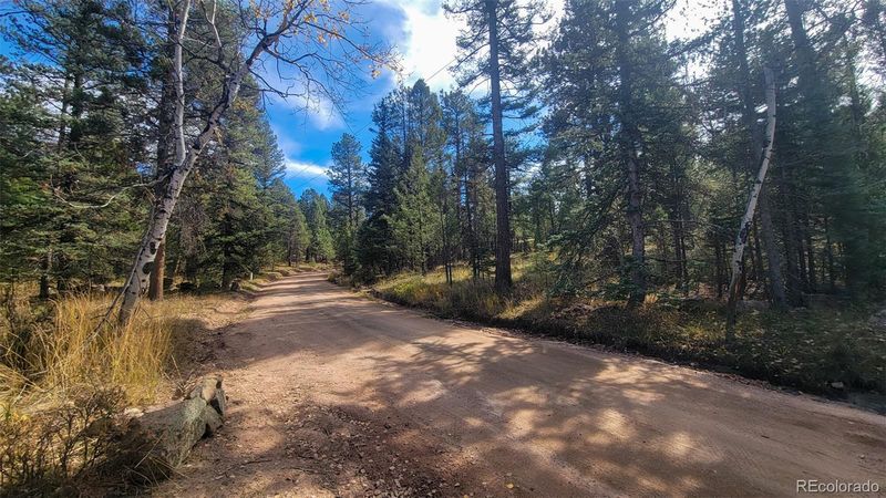 28421 Evergreen Dr, Conifer, CO 80433