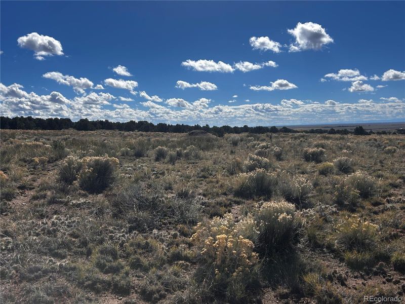 3296 Fairview Overlook, Crestone, CO 81131