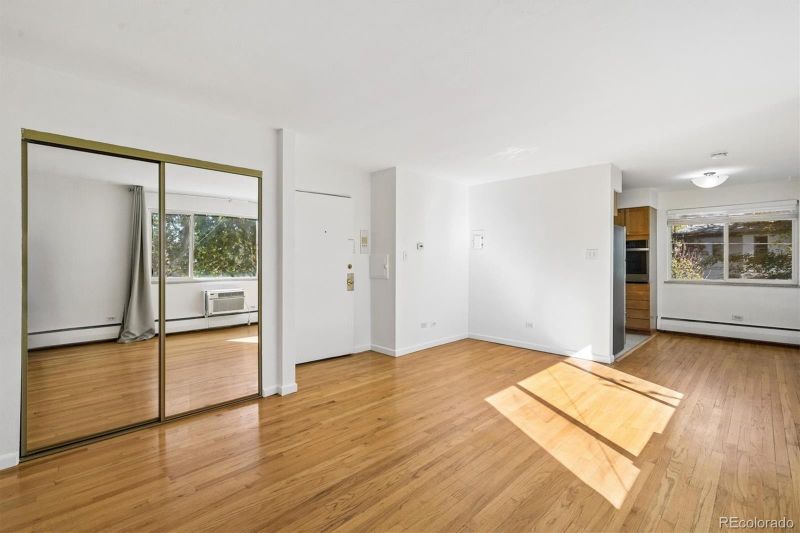 1056 N Marion St #303, Denver, CO 80218