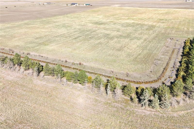 Heidemann Ave, Franktown, CO 80116