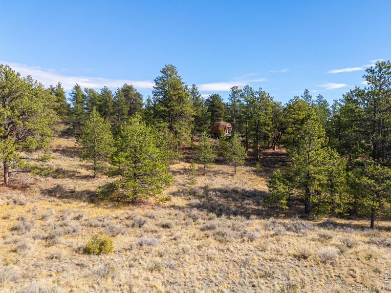 8 Spring Trl, Livermore, CO 80536