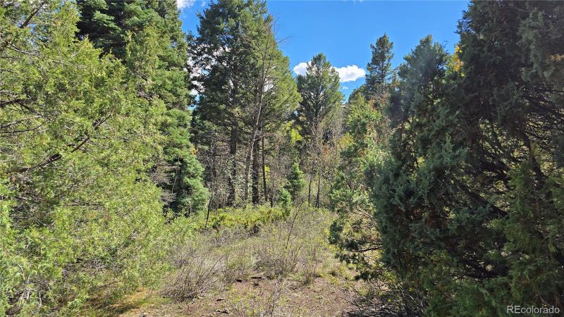 Lots 6301 - 6302 Nicholson Rd, San Luis, CO 81152